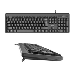 TECLADO GENIUS KB-118 USB NEGRO SP